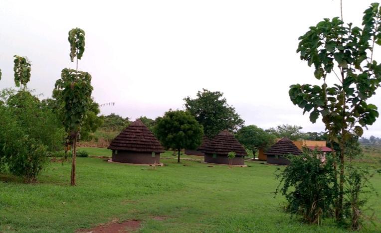 Purongo Grassroots Cottages Murchsion Falls מראה חיצוני תמונה